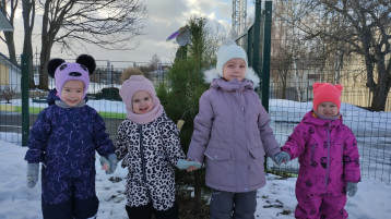 День снежинок День снежинок.