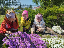 Наблюдения в природе весной Наблюдения в природе весной.