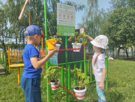 ВСЕМИРНЫЙ ДЕНЬ ОКРУЖАЮЩЕЙ СРЕДЫ ВСЕМИРНЫЙ ДЕНЬ ОКРУЖАЮЩЕЙ СРЕДЫ.